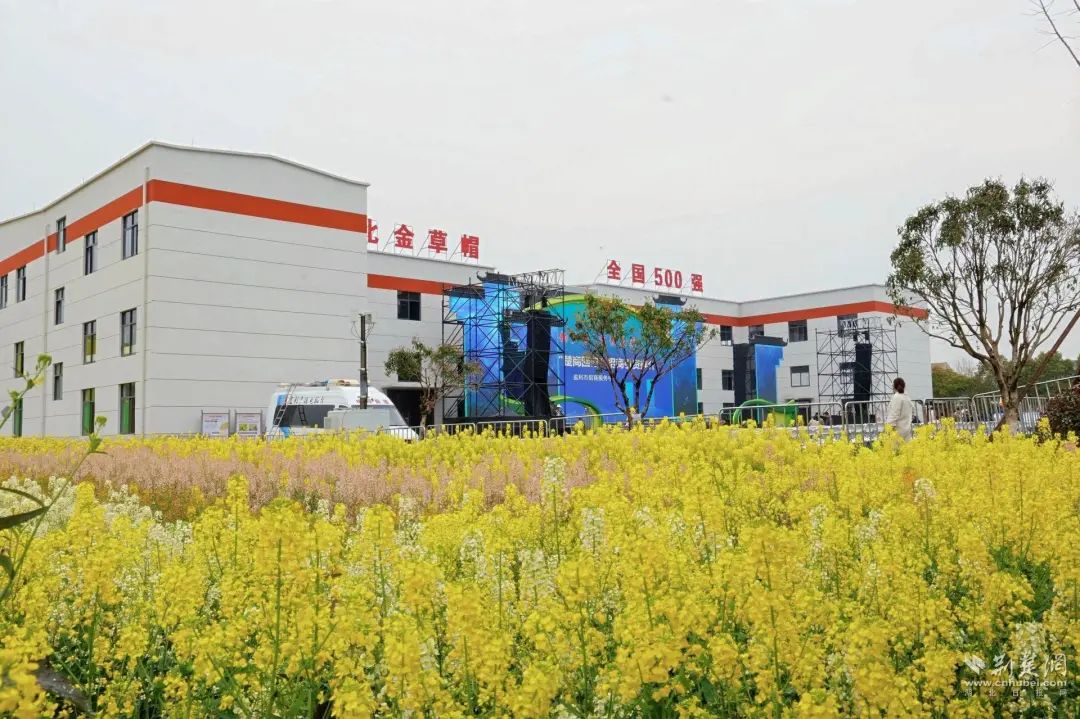 從“草根”到“標桿” 一家合作社沖進全國十強的倉儲突圍之路
